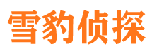 岚县市婚外情调查